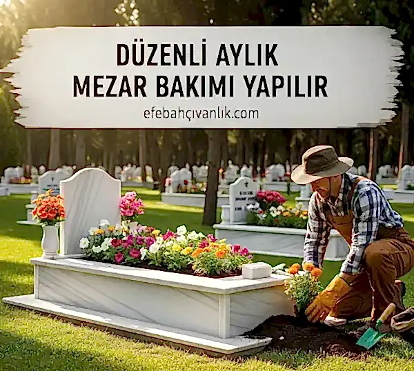 Mezar Hizmetleri <i class="rhicon rhi-arrow-circle-right floatright"></i>